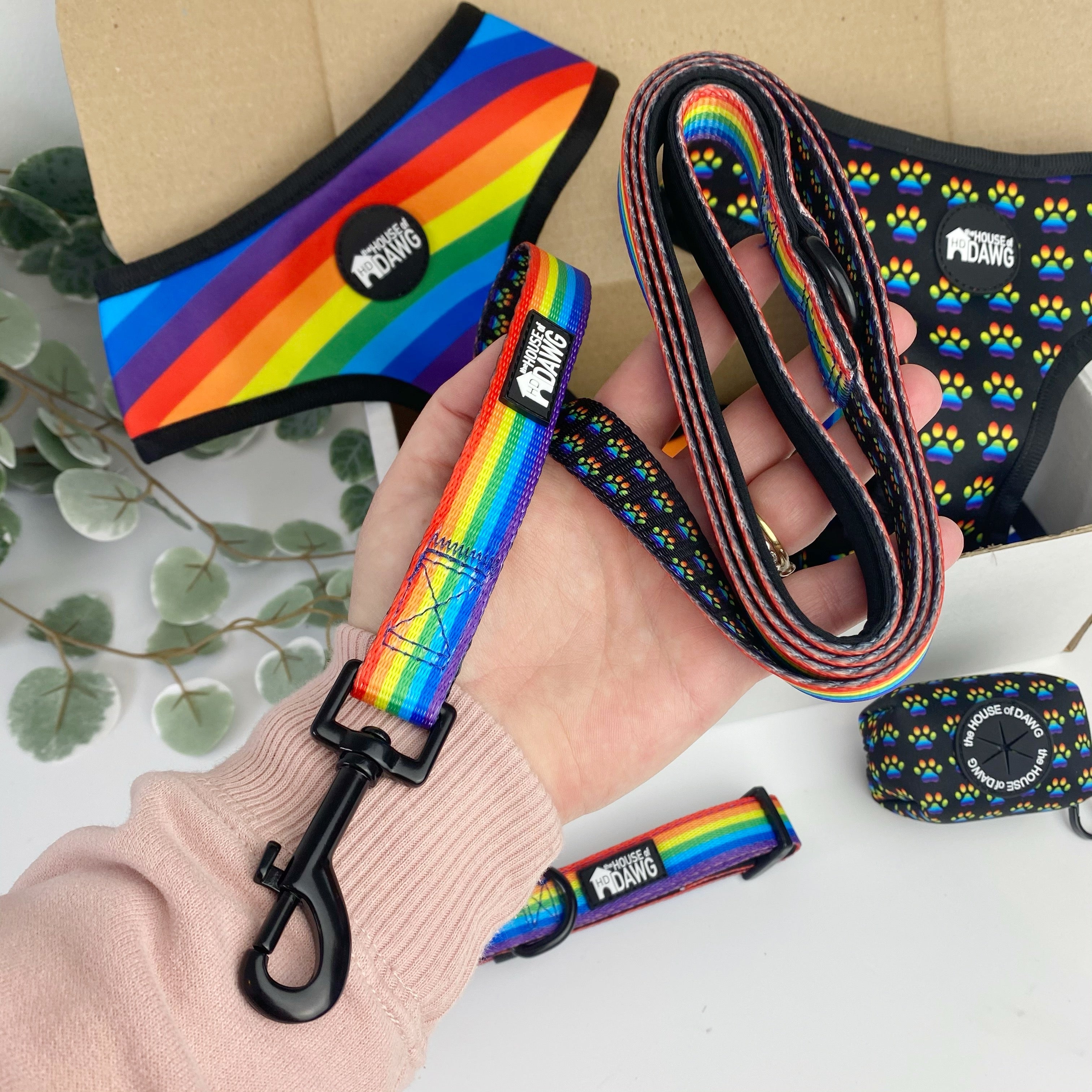 rainbow dog leash