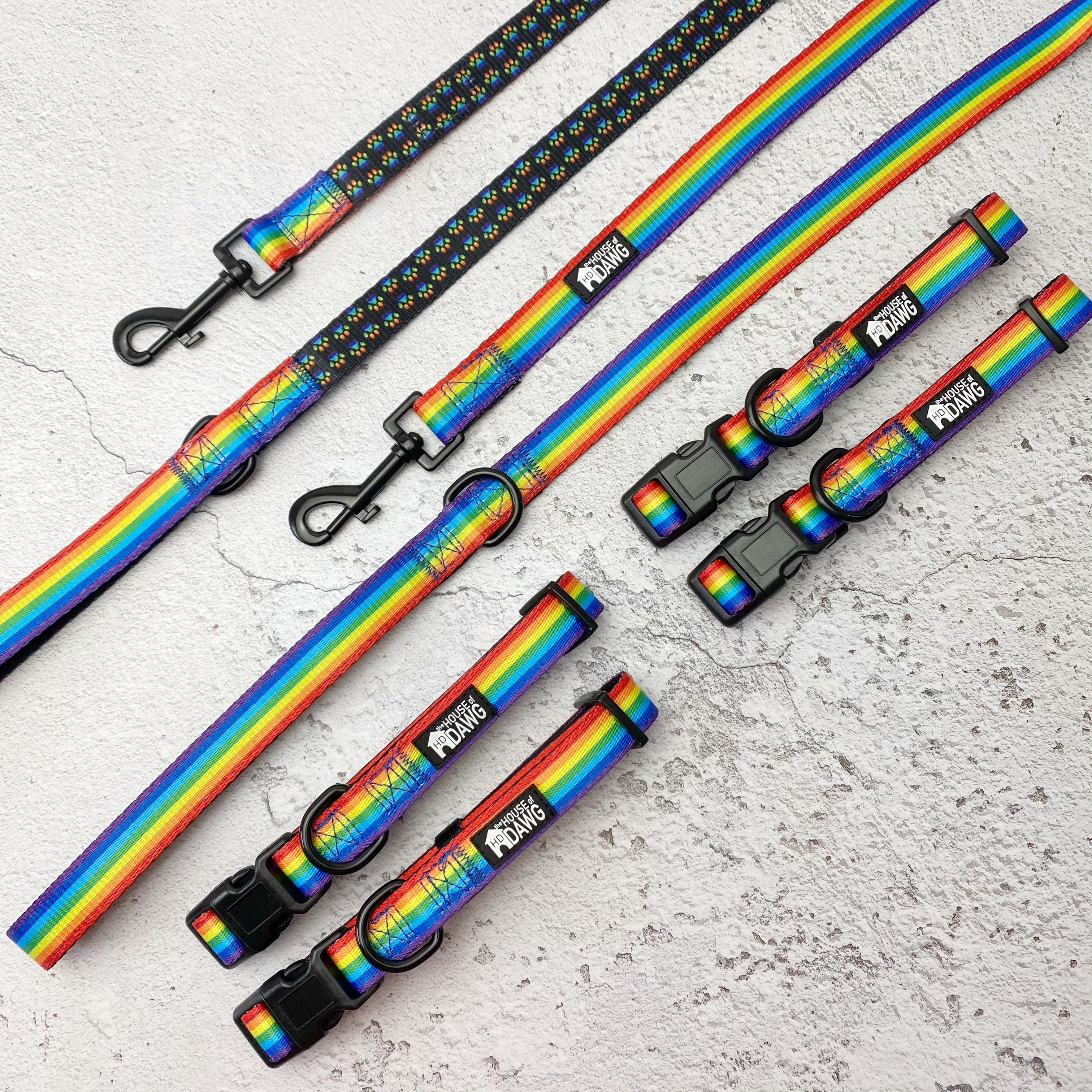 rainbow dog accessories
