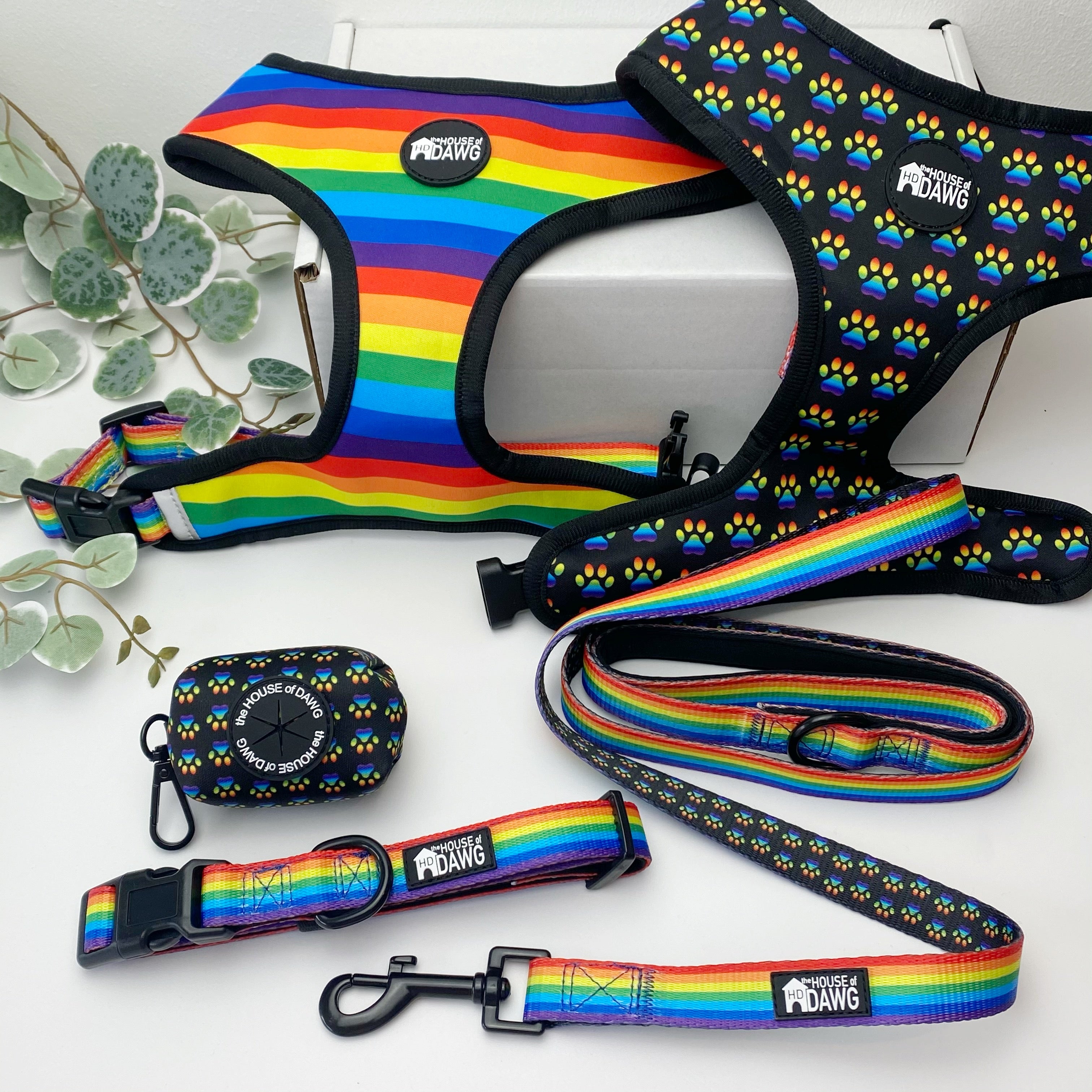 pride dog accessories