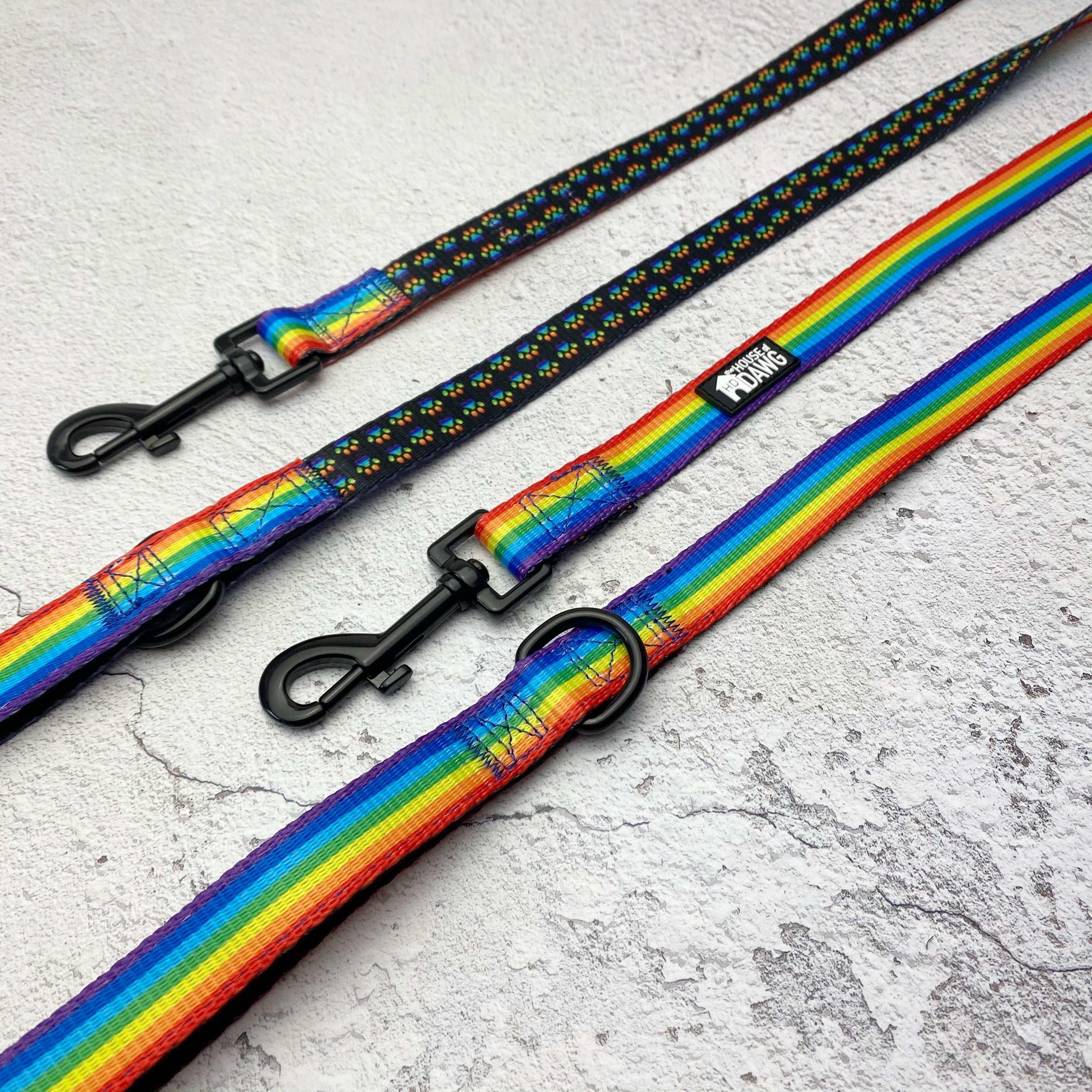 rainbow dog lead