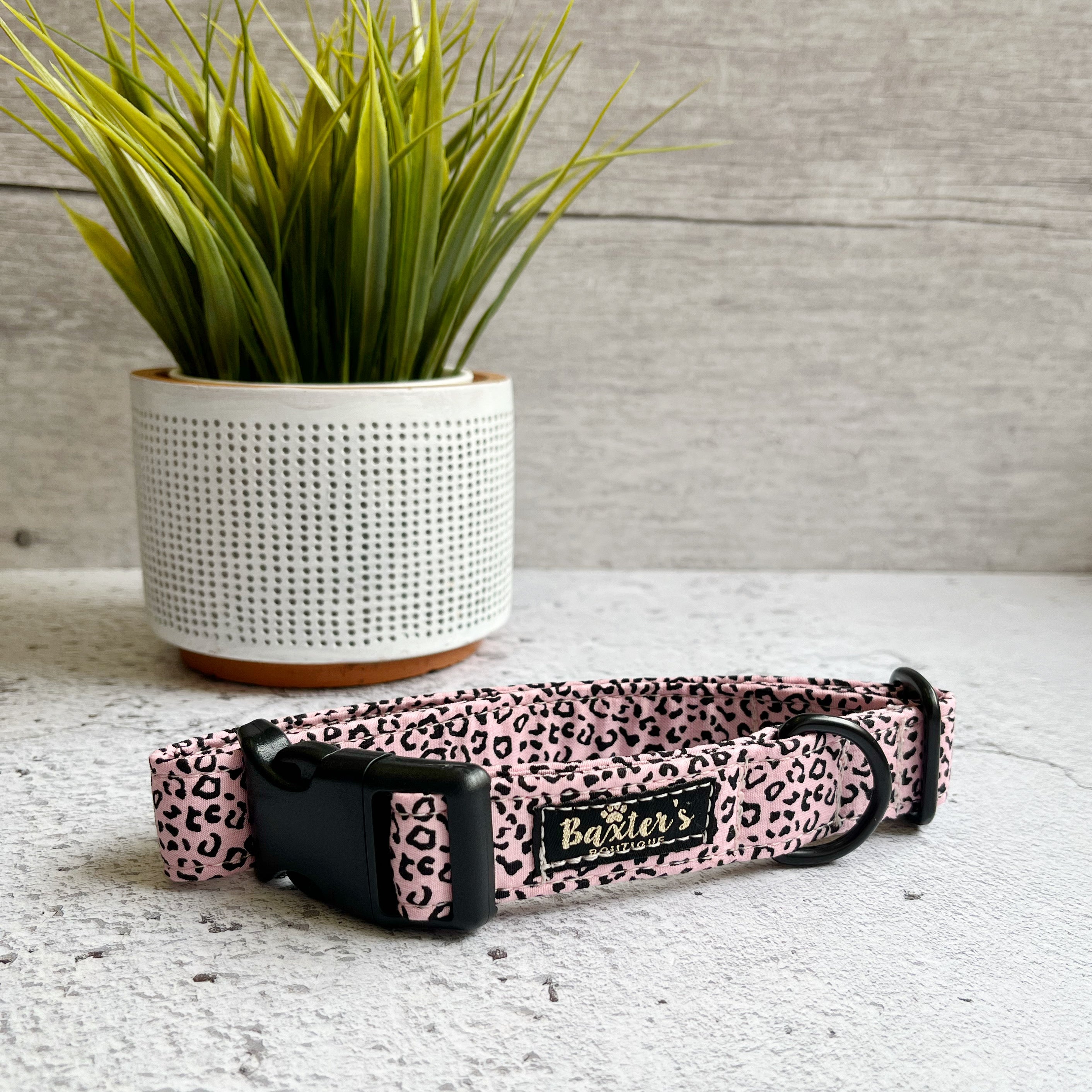pink leopard dog collar