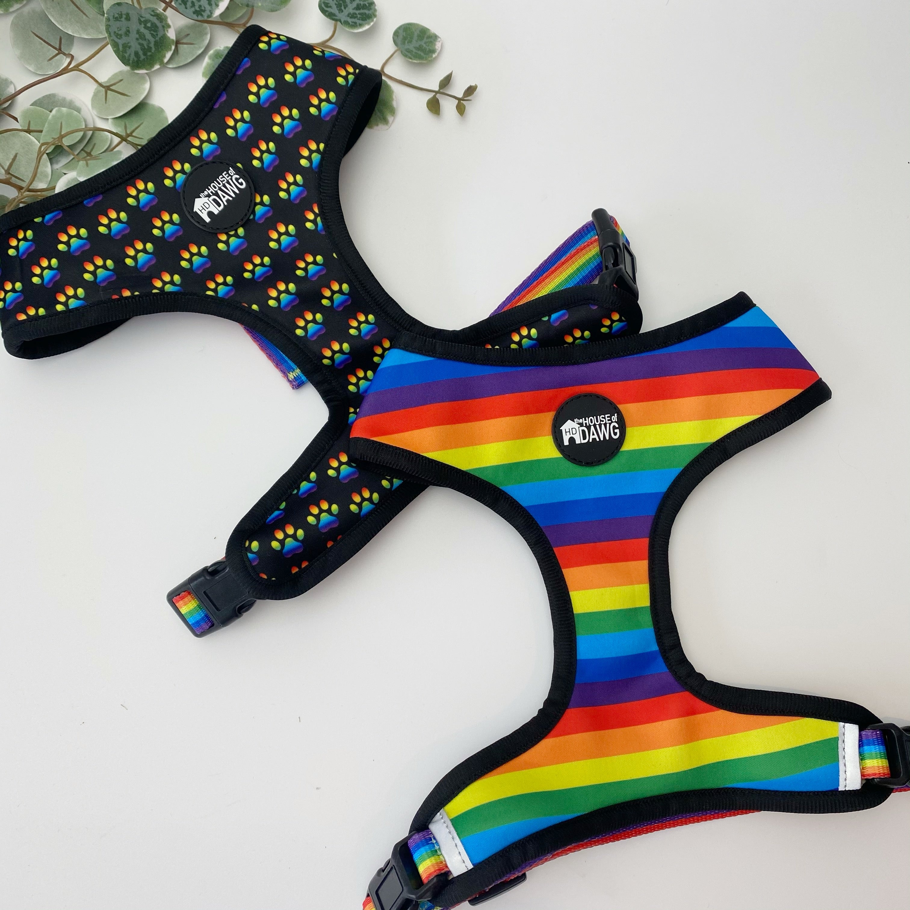 rainbow paws dog harness