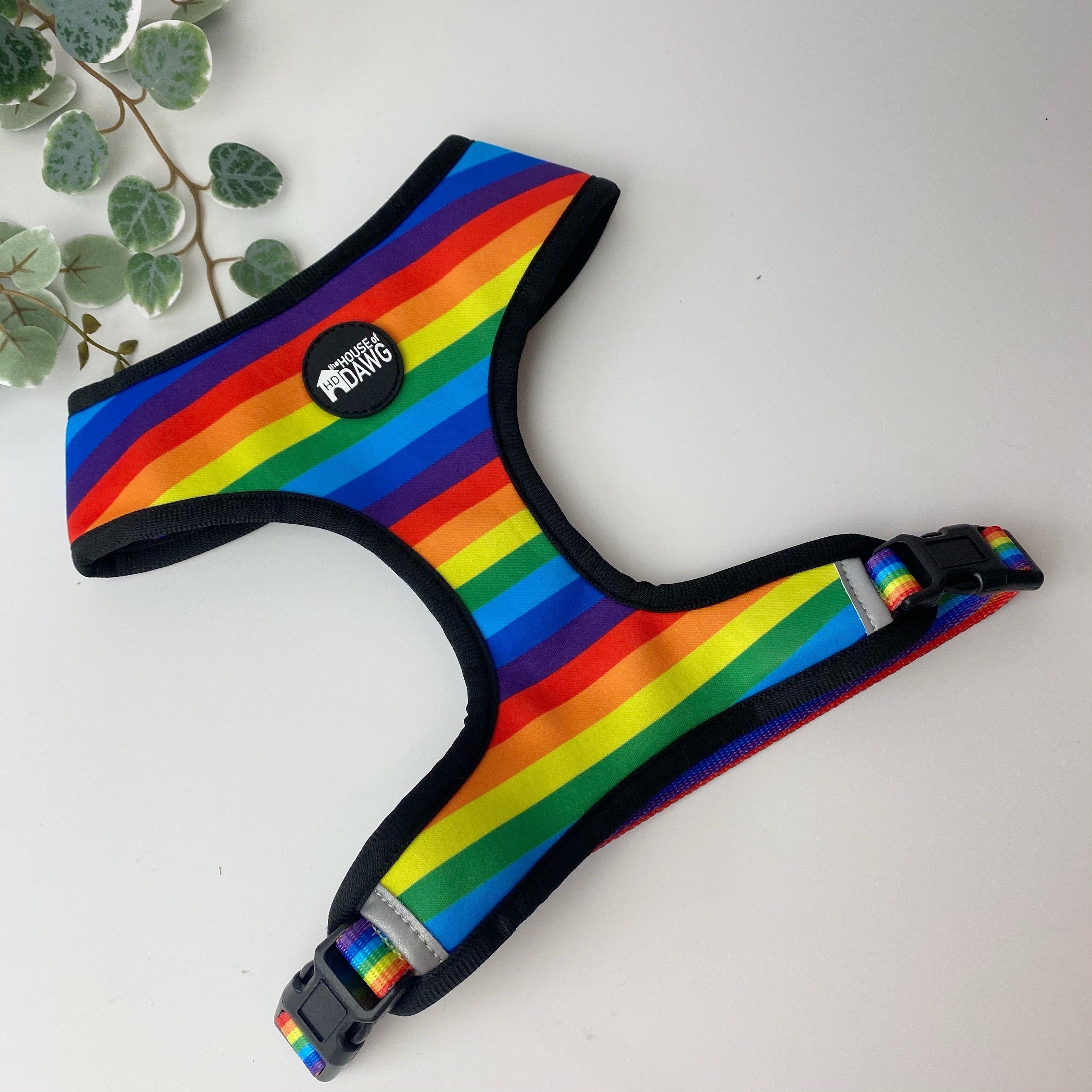 rainbow dog harness