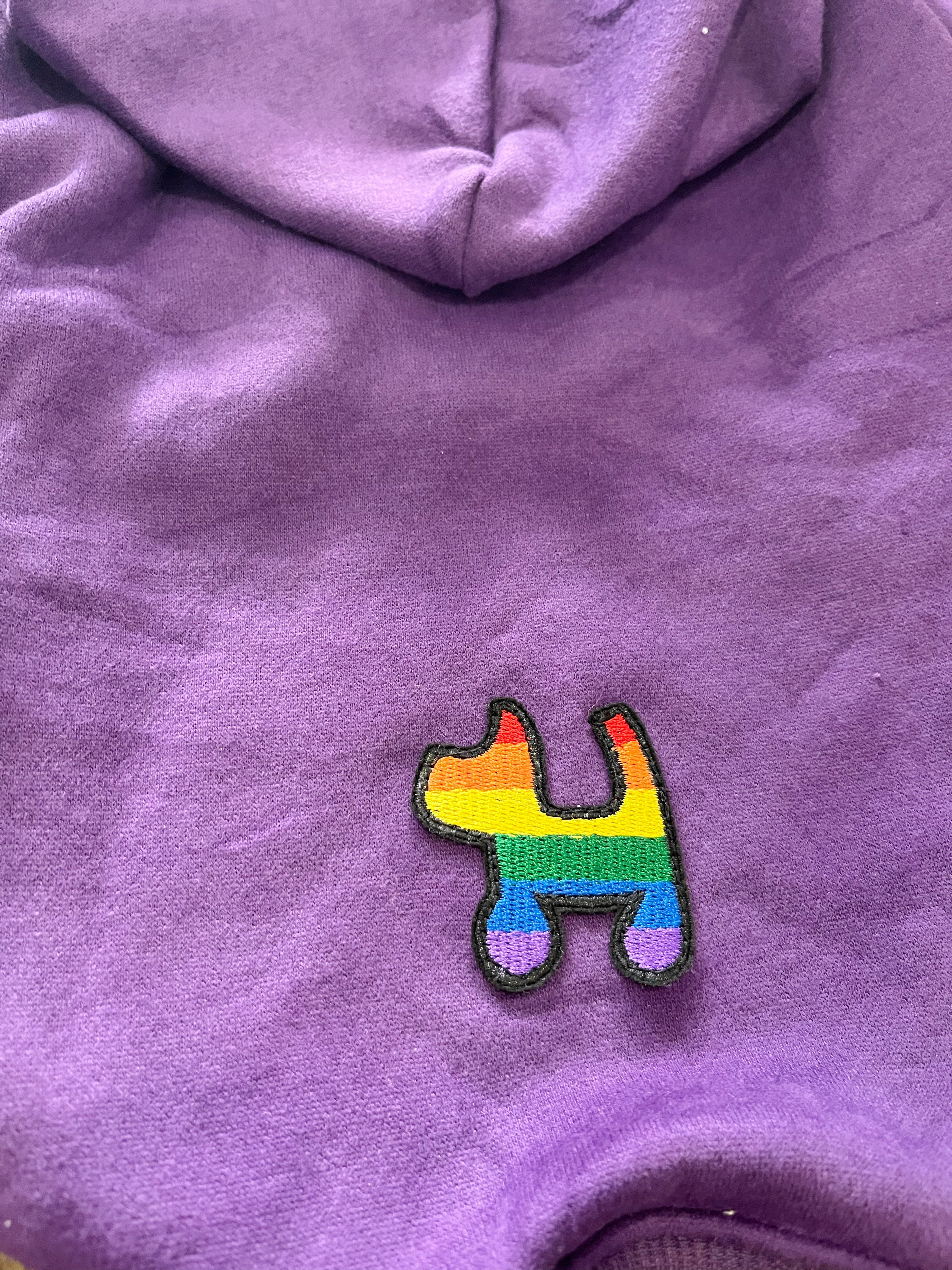 rainbow puppy purple hoodie