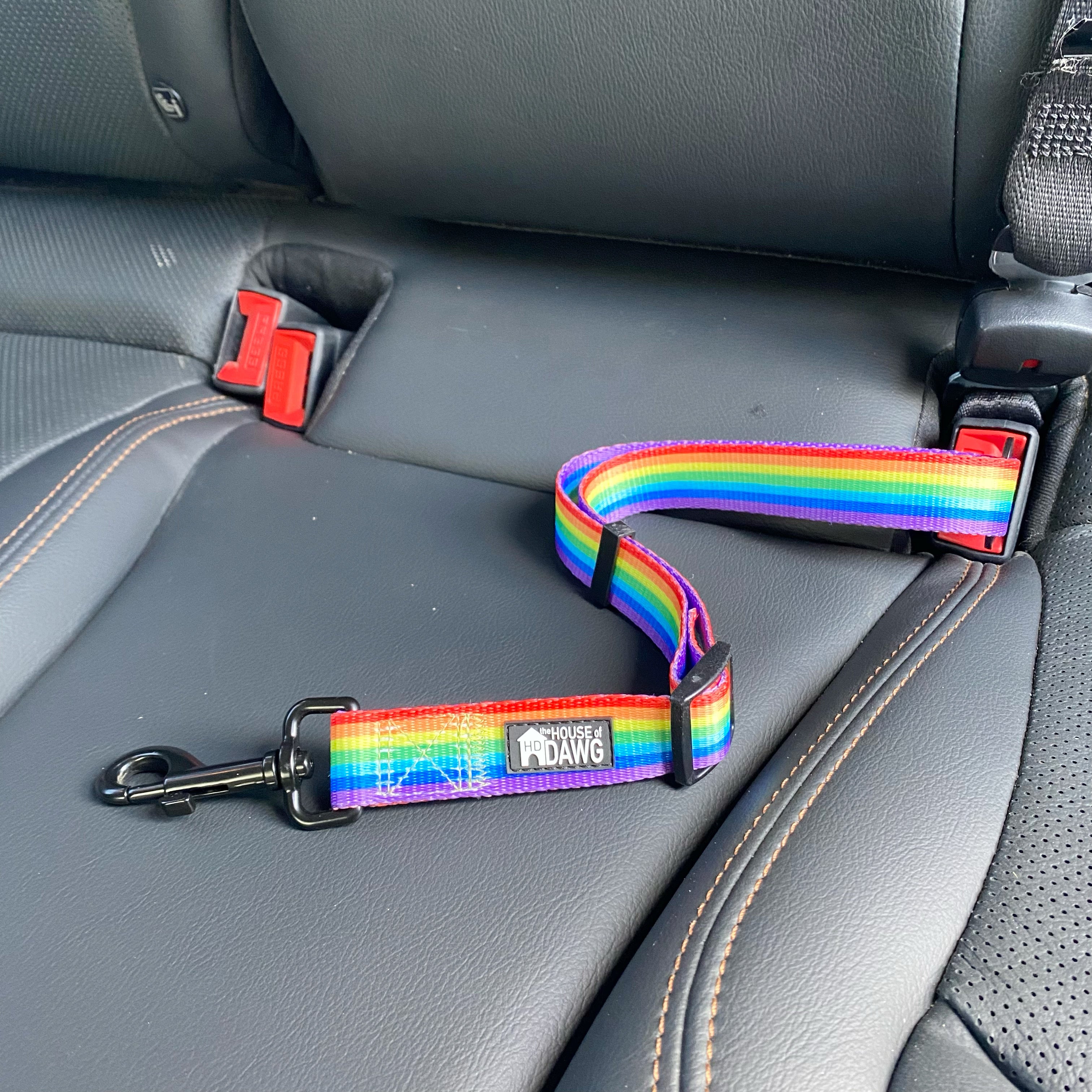 Rainbow car seat clip for dogs