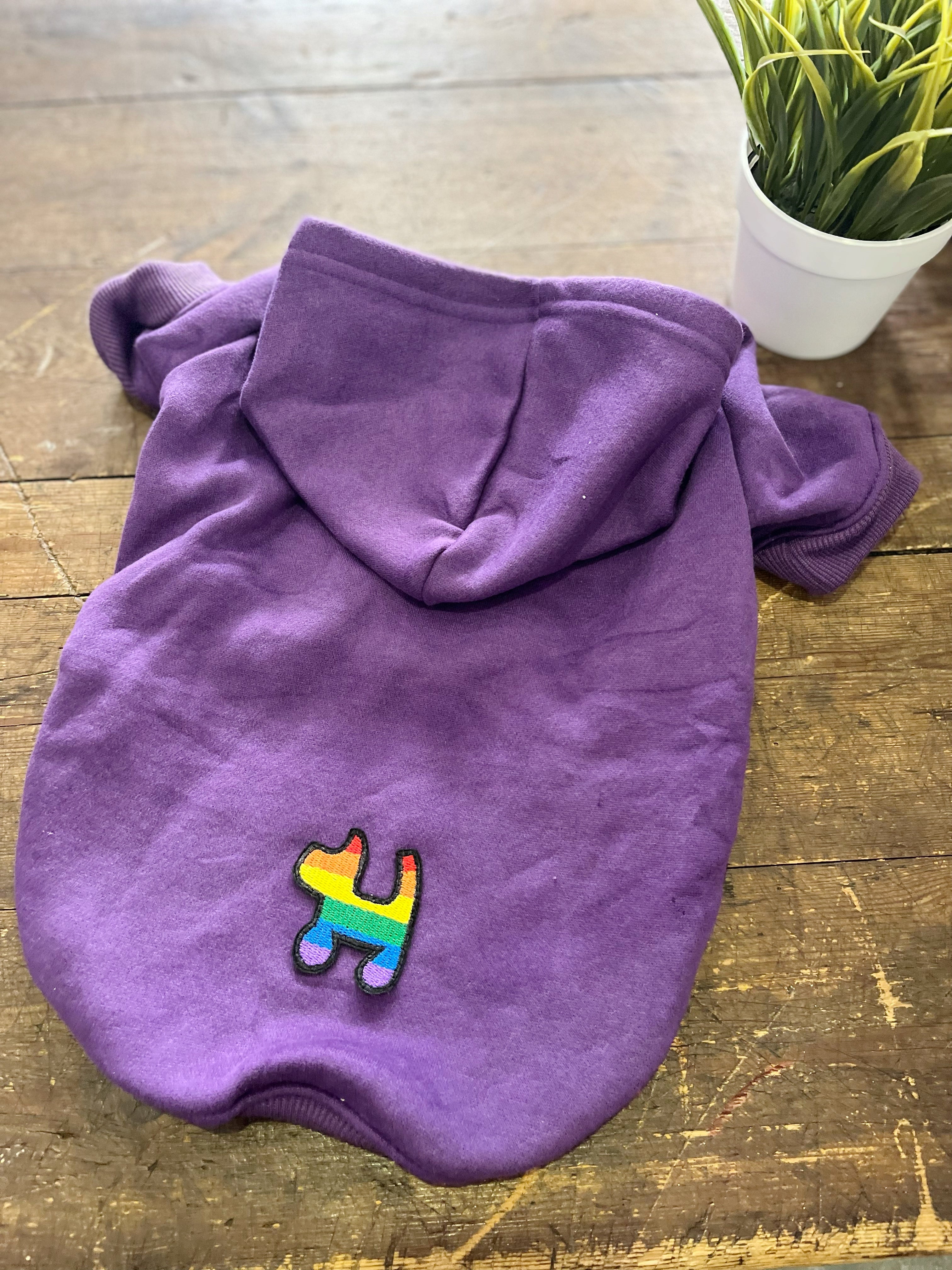 rainbow puppy purple hoodie